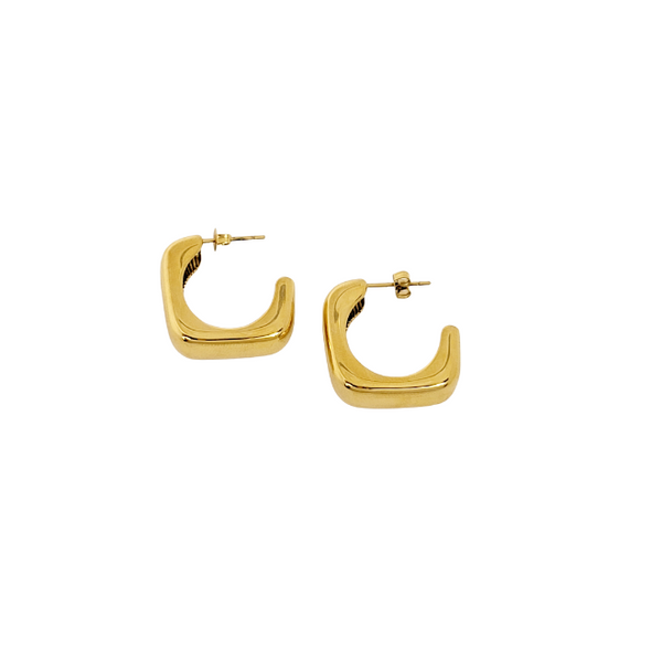 Julia Hoop Earrings